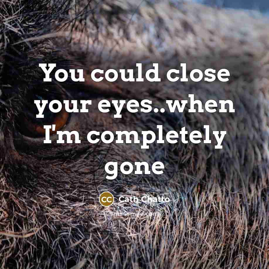 “You could close your eyes..when I'm completely gone” quote by Cath Chatto