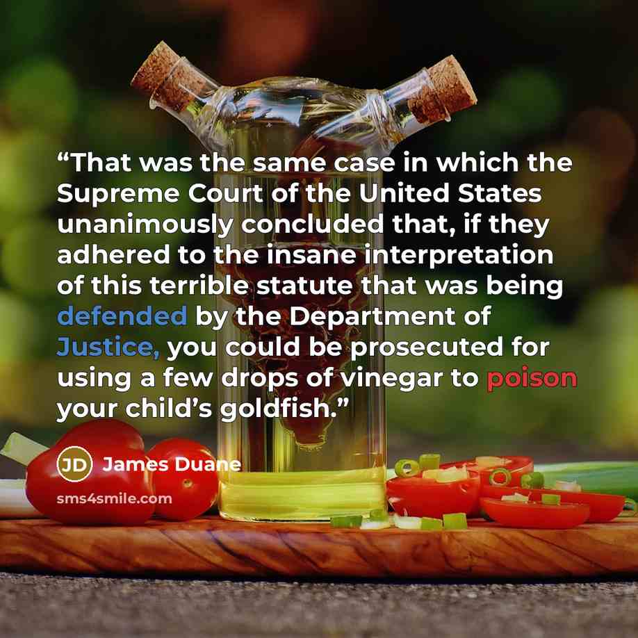“That was the same case in which the Supreme Court of the United States unanimously concluded that, if they adhered to the insane interpretation of this terrible statute that was being defended by the Department of Justice, you could be prosecuted for using a few drops of vinegar to poison your…” quote by James Duane