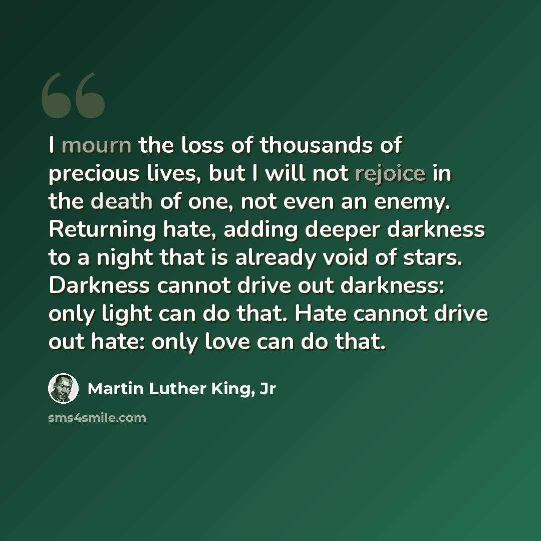 “I mourn the loss of thousands of precious lives, but I will not rejoice in the death of one, not even an enemy. Returning hate, adding deeper darkness to a night that is already void of stars. Darkness cannot drive out darkness: only light can do that. Hate cannot drive out hate: only love can do…” quote by Martin Luther King, Jr