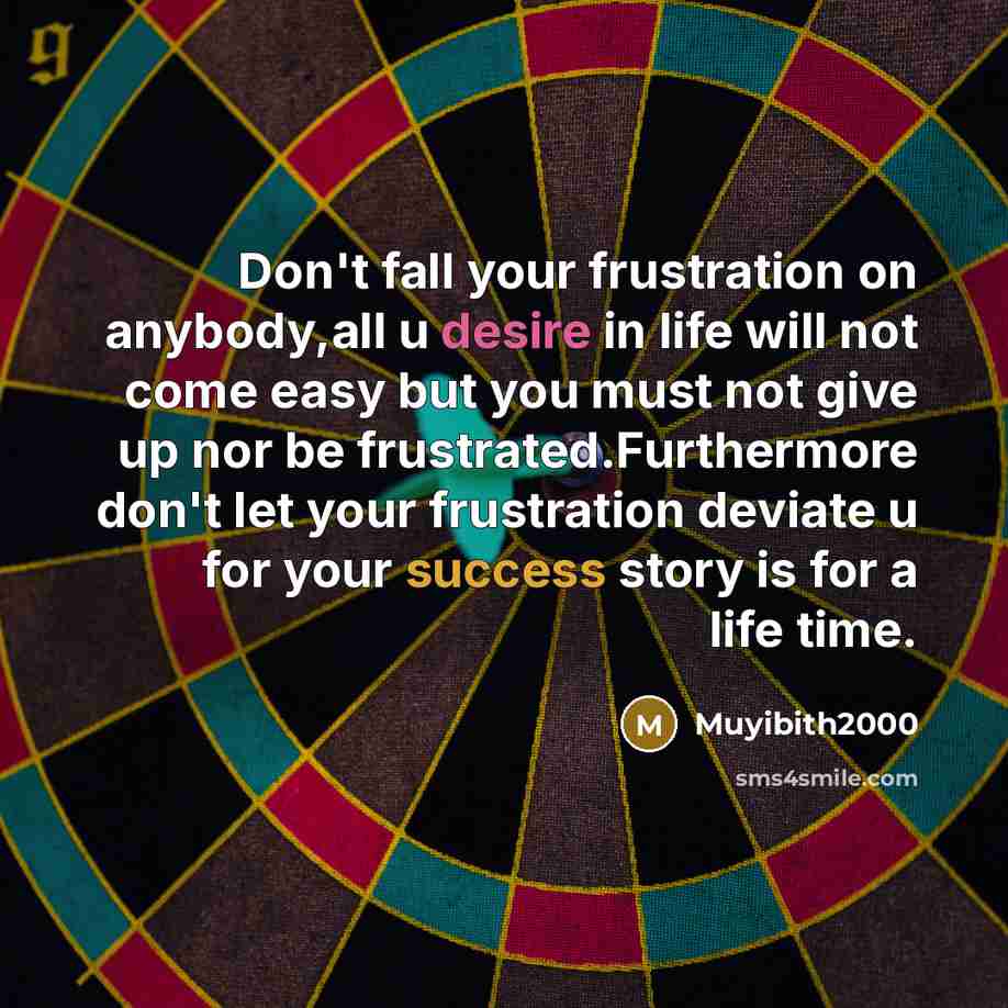 “Don't fall your frustration on anybody,all u desire in life will not come easy but you must not give up nor be frustrated.Furthermore don't let your frustration deviate u for your success story is for a life time.” quote by Muyibith2000