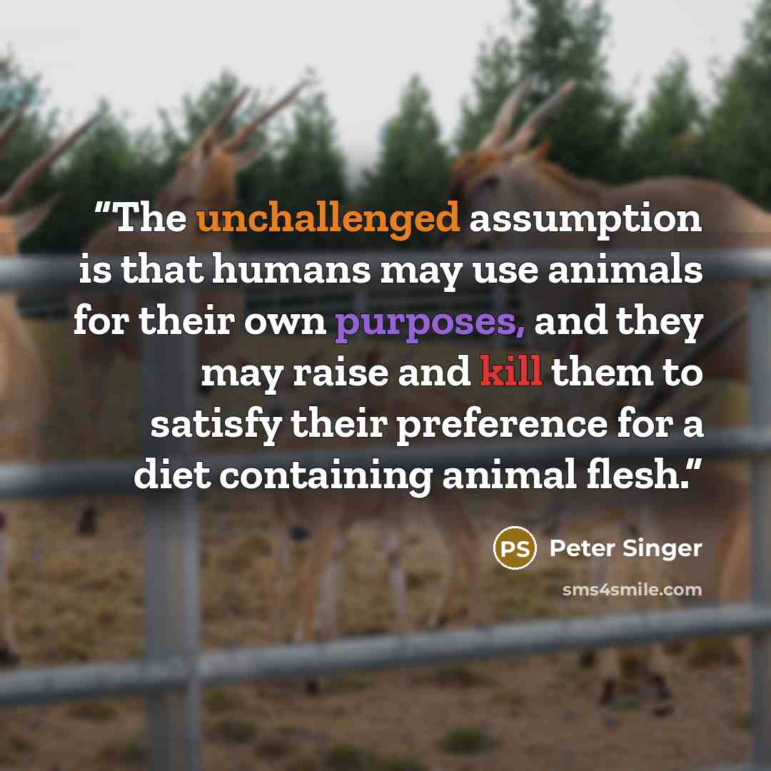 “The unchallenged assumption is that humans may use animals for their own purposes, and they may raise and kill them to satisfy their preference for a diet containing animal flesh.” quote by Peter Singer