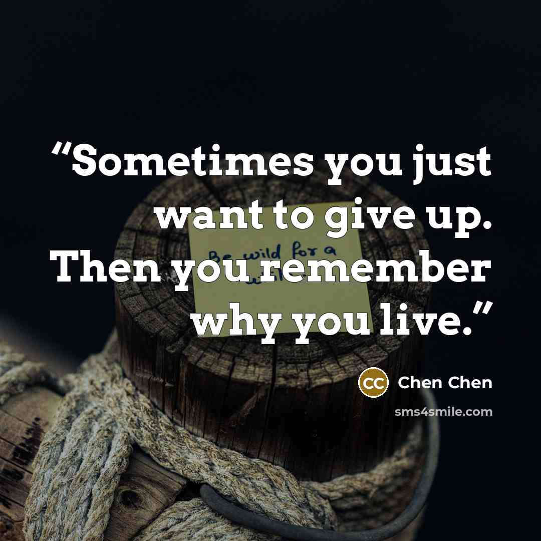 “Sometimes you just want to give up. Then you remember why you live.” quote by Chen Chen