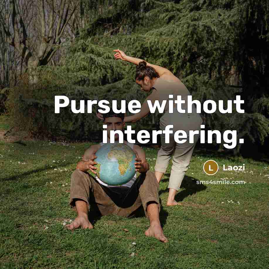“Pursue without interfering.” quote by Laozi