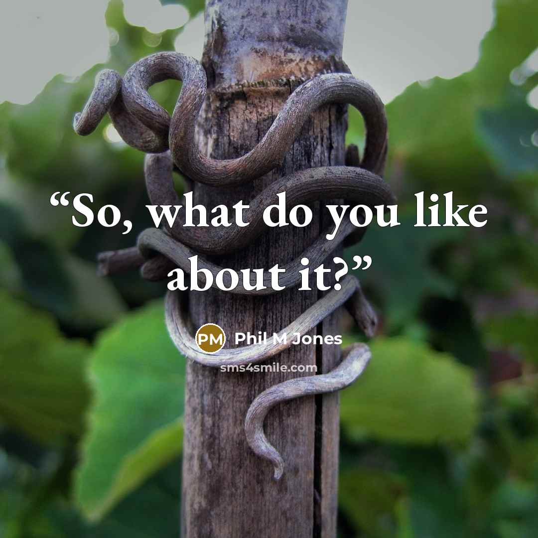 “So, what do you like about it?” quote by Phil M Jones