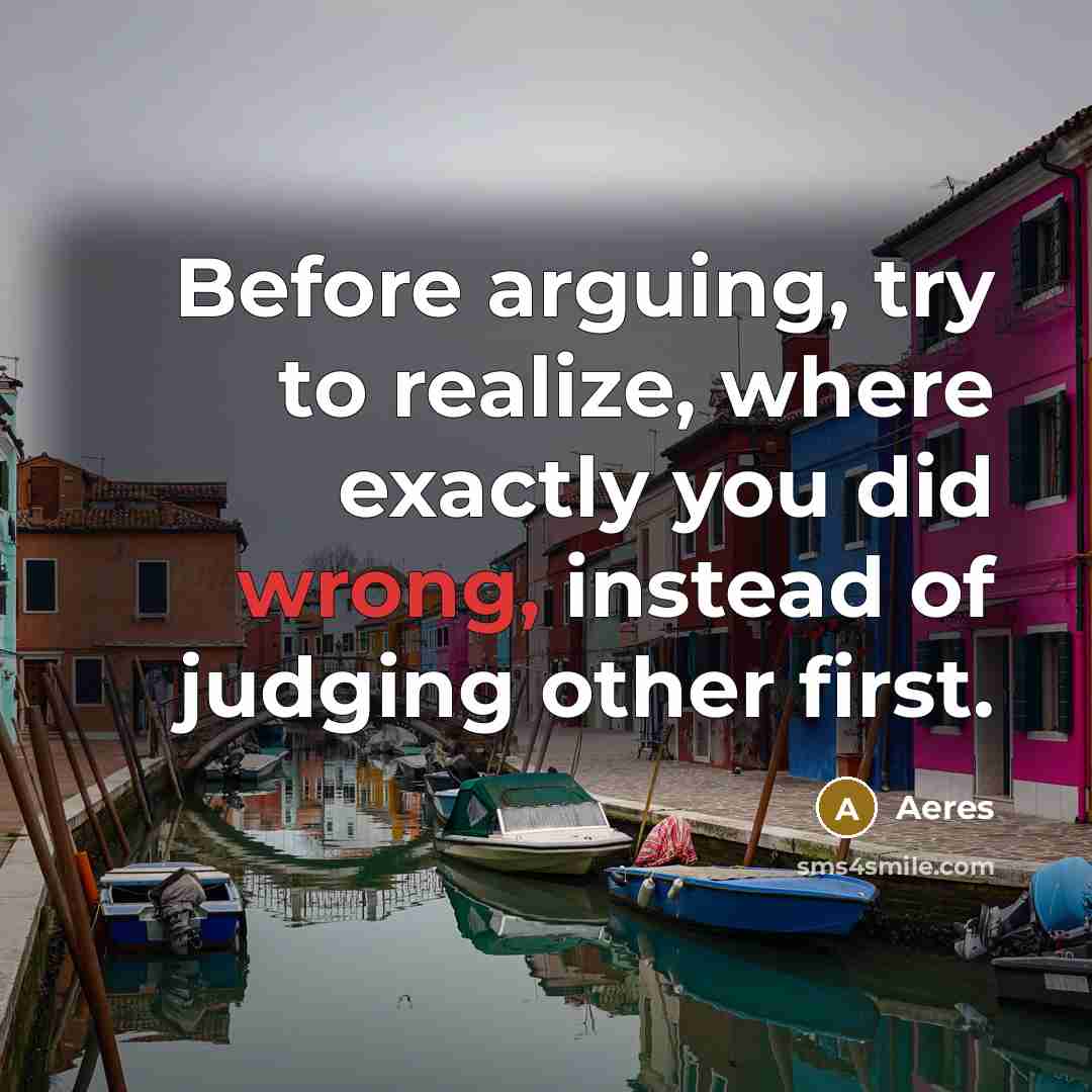 “Before arguing, try to realize, where exactly you did wrong, instead of judging other first.” quote by Aeres