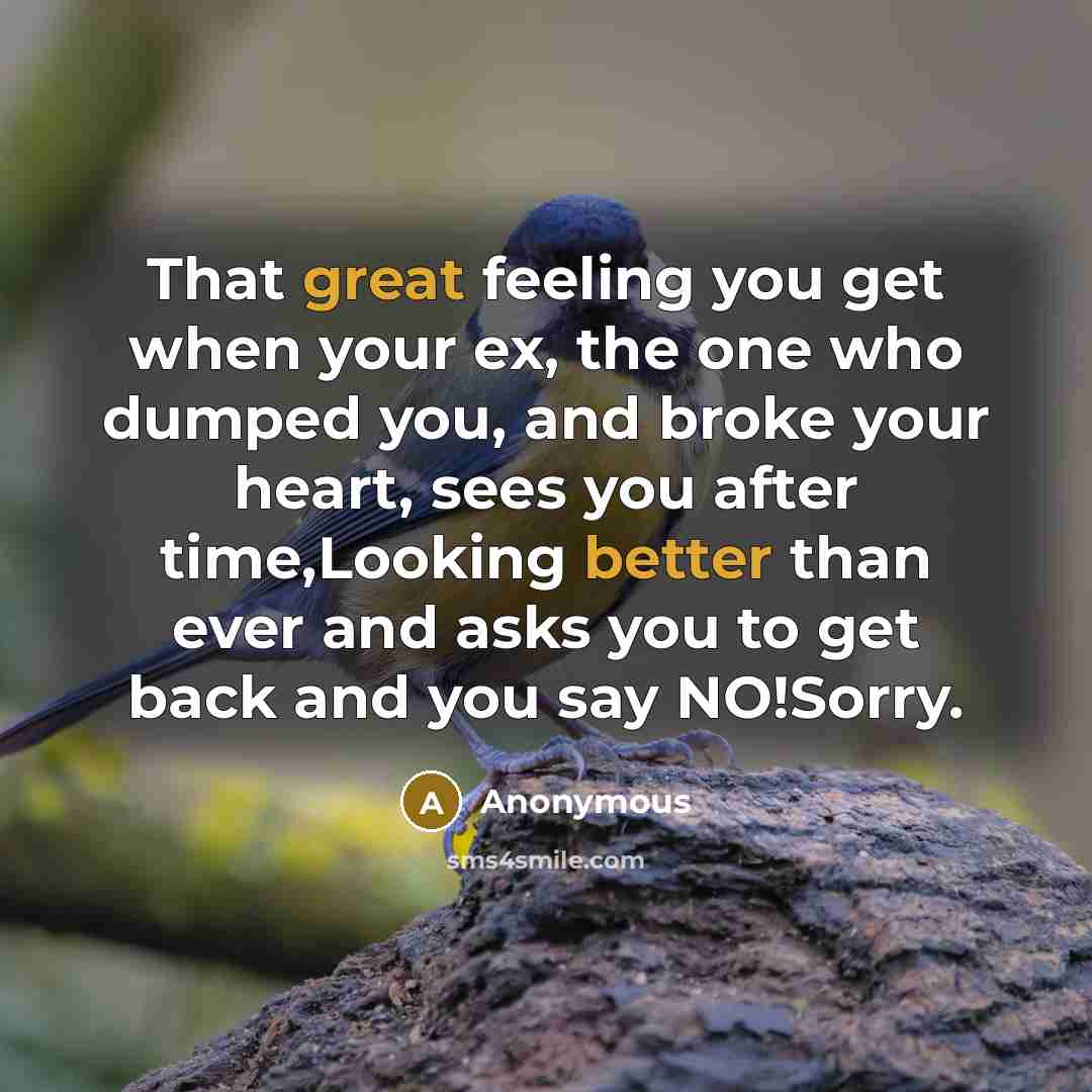 “That great feeling you get when your ex, the one who dumped you, and broke your heart, sees you after time,Looking better than ever and asks you to get back and you say NO!Sorry.” quote by Anonymous