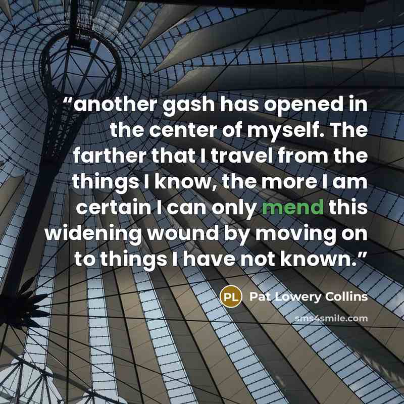 “another gash has opened in the center of myself. The farther that I travel from the things I know, the more I am certain I can only mend this widening wound by moving on to things I have not known.” quote by Pat Lowery Collins