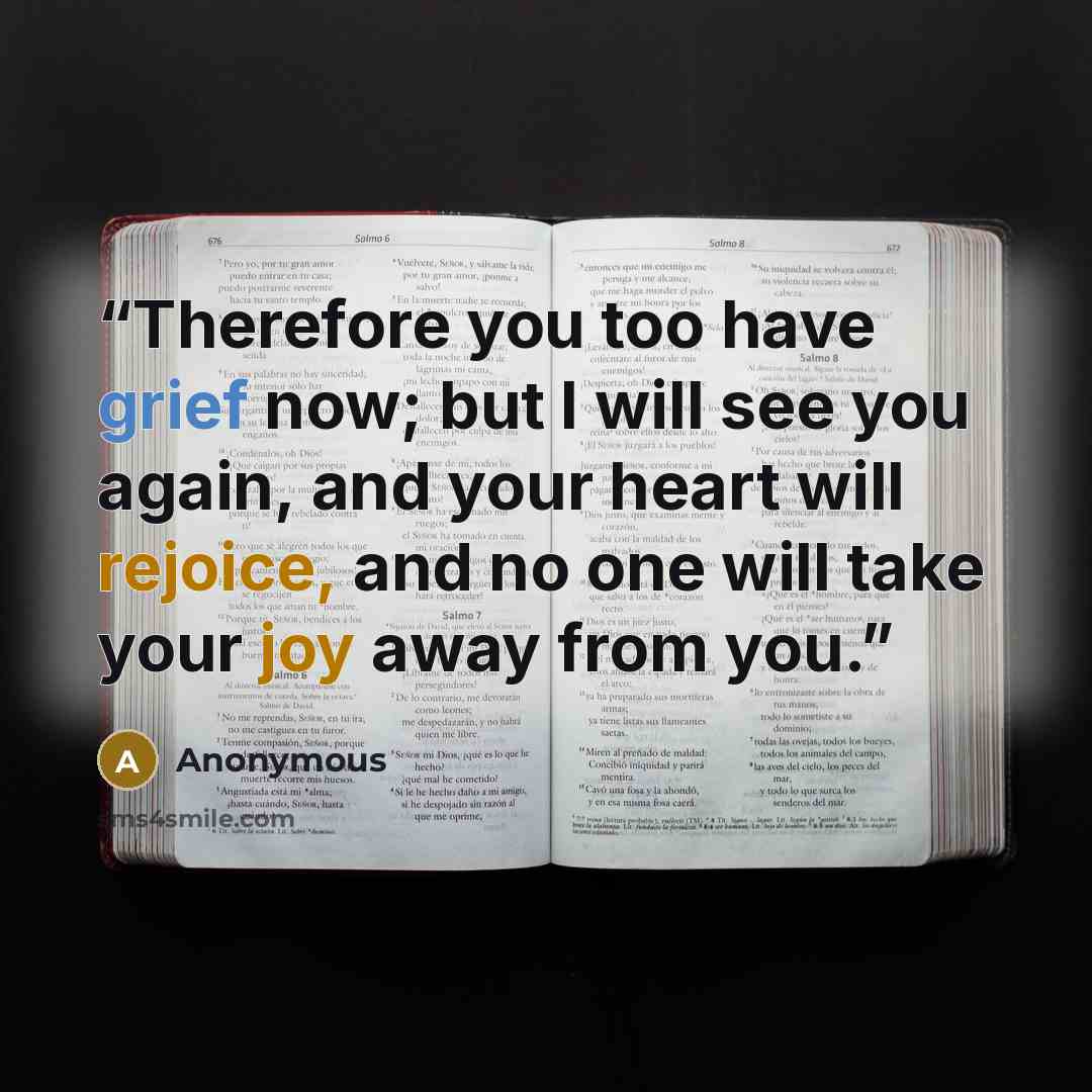 “Therefore you too have grief now; but I will see you again, and your heart will rejoice, and no one will take your joy away from you.” quote by Anonymous