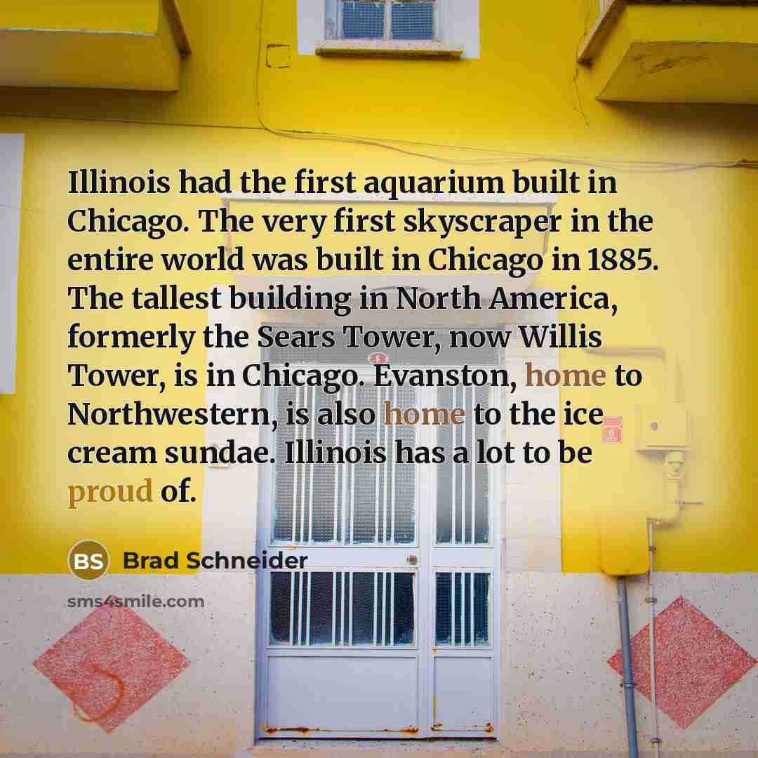 “Illinois had the first aquarium built in Chicago. The very first skyscraper in the entire world was built in Chicago in 1885. The tallest building in North America, formerly the Sears Tower, now Willis Tower, is in Chicago. Evanston, home to Northwestern, is also home to the ice cream sundae…” quote by Brad Schneider