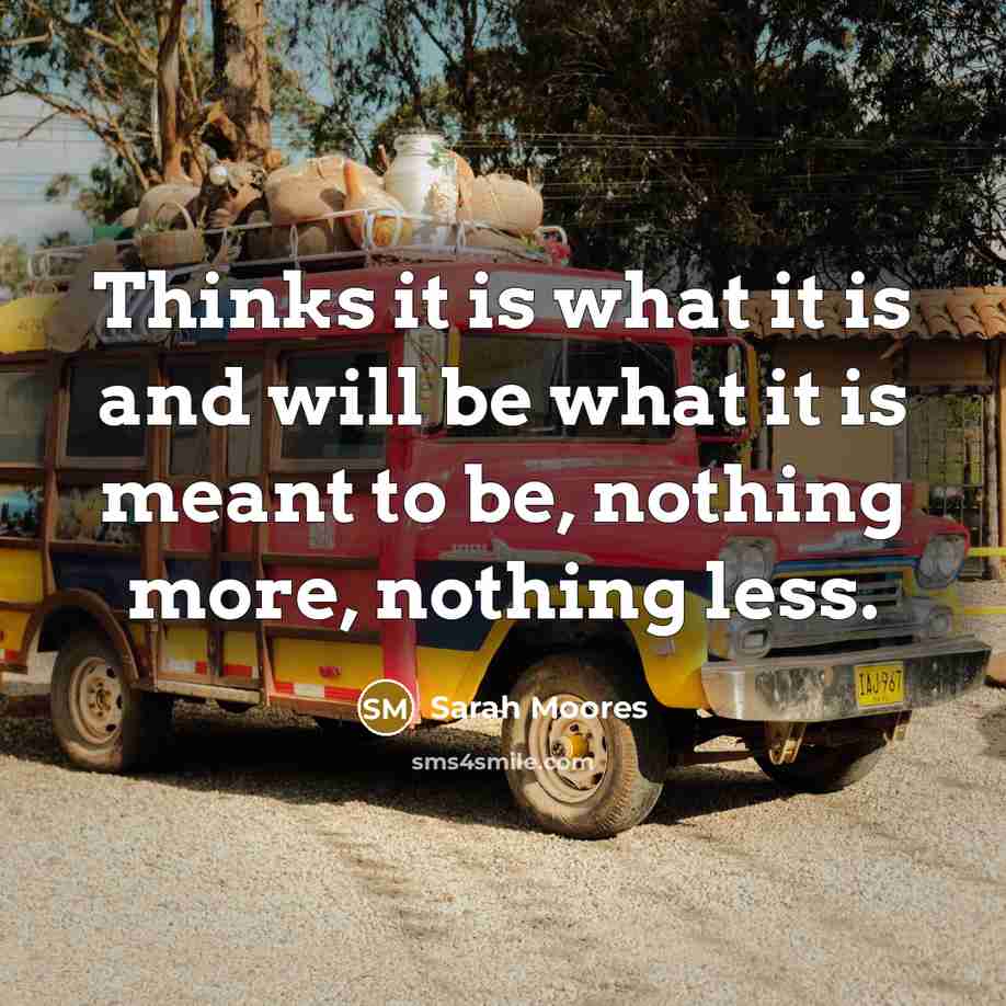 “Thinks it is what it is and will be what it is meant to be, nothing more, nothing less.” quote by Sarah Moores