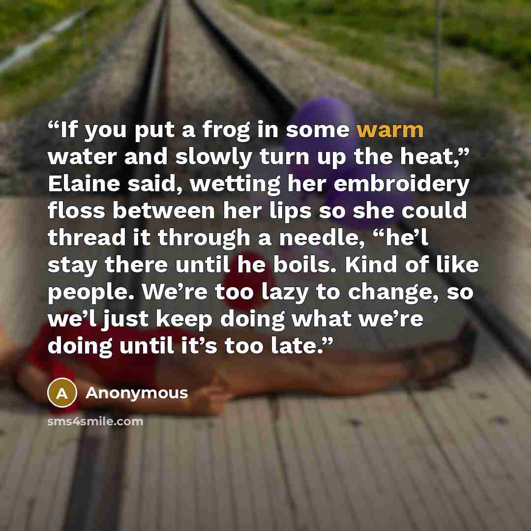 “If you put a frog in some warm water and slowly turn up the heat,” Elaine said, wetting her embroidery floss between her lips so she could thread it through a needle, “he’l stay there until he boils. Kind of like people. We’re too lazy to change, so we’l just keep doing what we’re doing until it’s…” quote by Anonymous