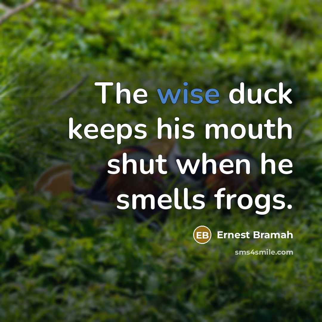 “The wise duck keeps his mouth shut when he smells frogs.” quote by Ernest Bramah