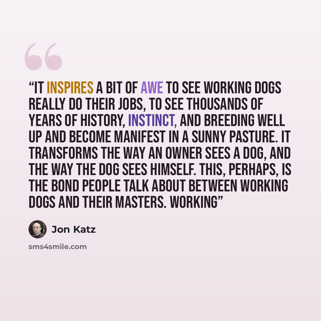 “It inspires a bit of awe to see working dogs really do their jobs, to see thousands of years of history, instinct, and breeding well up and become manifest in a sunny pasture. It transforms the way an owner sees a dog, and the way the dog sees himself. This, perhaps, is the bond people talk about…” quote by Jon Katz