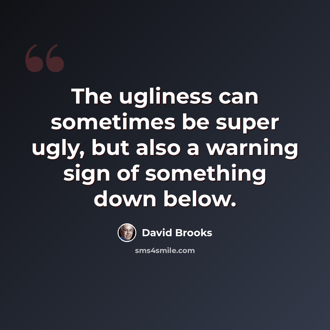 “The ugliness can sometimes be super ugly, but also a warning sign of something down below.” quote by David Brooks