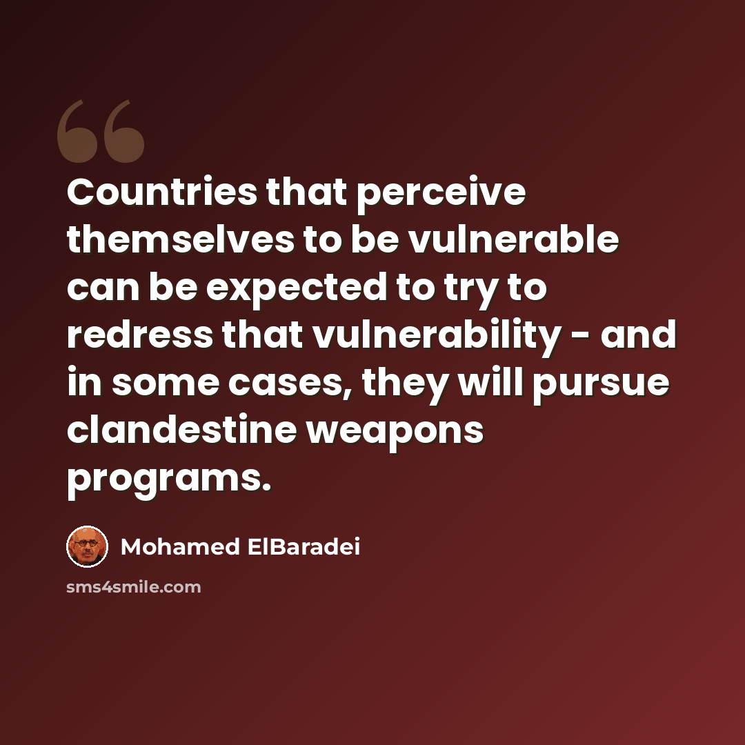 “Countries that perceive themselves to be vulnerable can be expected to try to redress that vulnerability - and in some cases, they will pursue clandestine weapons programs.” quote by Mohamed ElBaradei