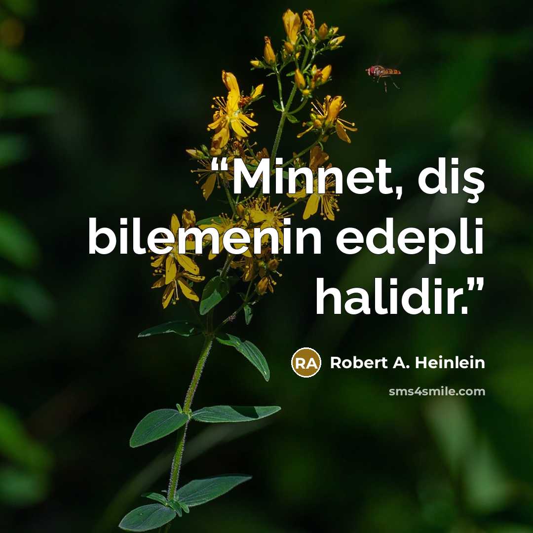 “Minnet, diş bilemenin edepli halidir.” quote by Robert A. Heinlein