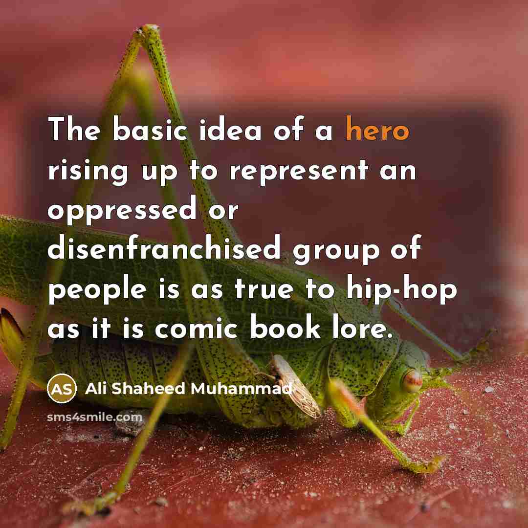 “The basic idea of a hero rising up to represent an oppressed or disenfranchised group of people is as true to hip-hop as it is comic book lore.” quote by Ali Shaheed Muhammad