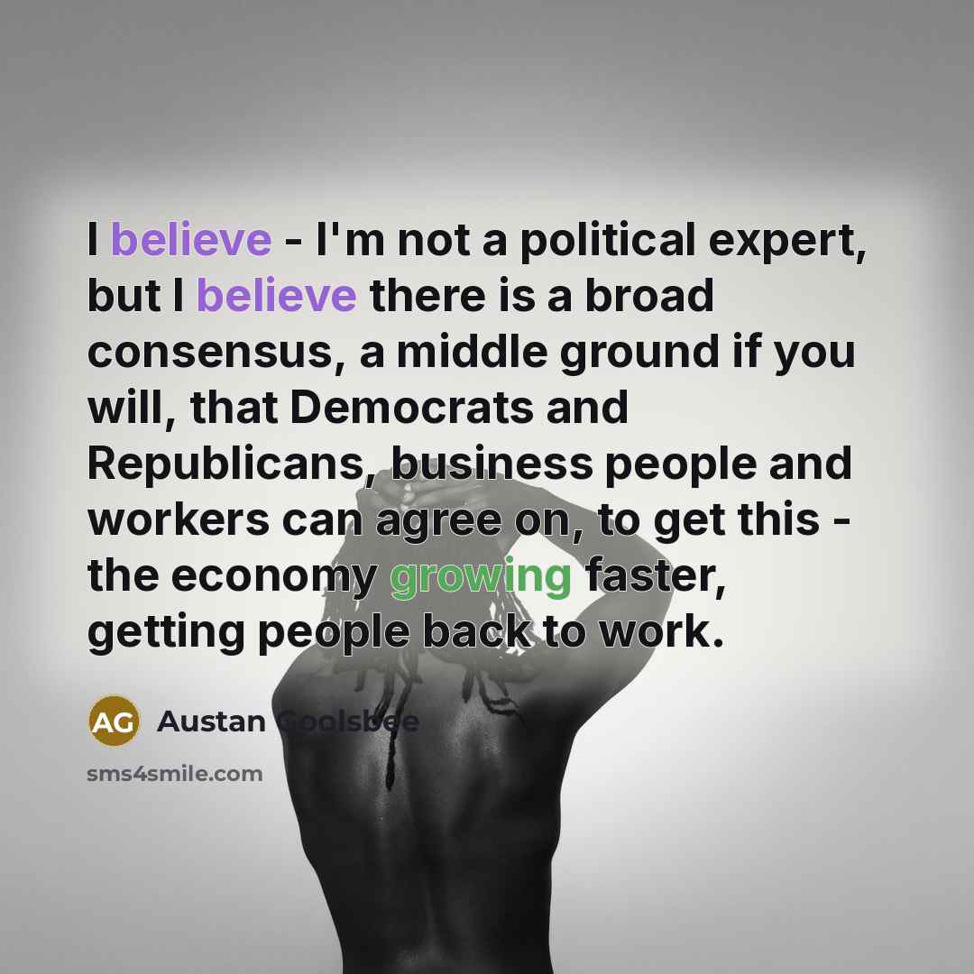 “I believe - I'm not a political expert, but I believe there is a broad consensus, a middle ground if you will, that Democrats and Republicans, business people and workers can agree on, to get this - the economy growing faster, getting people back to work.” quote by Austan Goolsbee