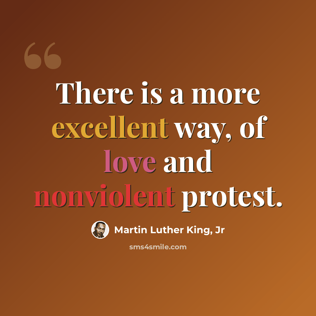 “There is a more excellent way, of love and nonviolent protest.” quote by Martin Luther King, Jr