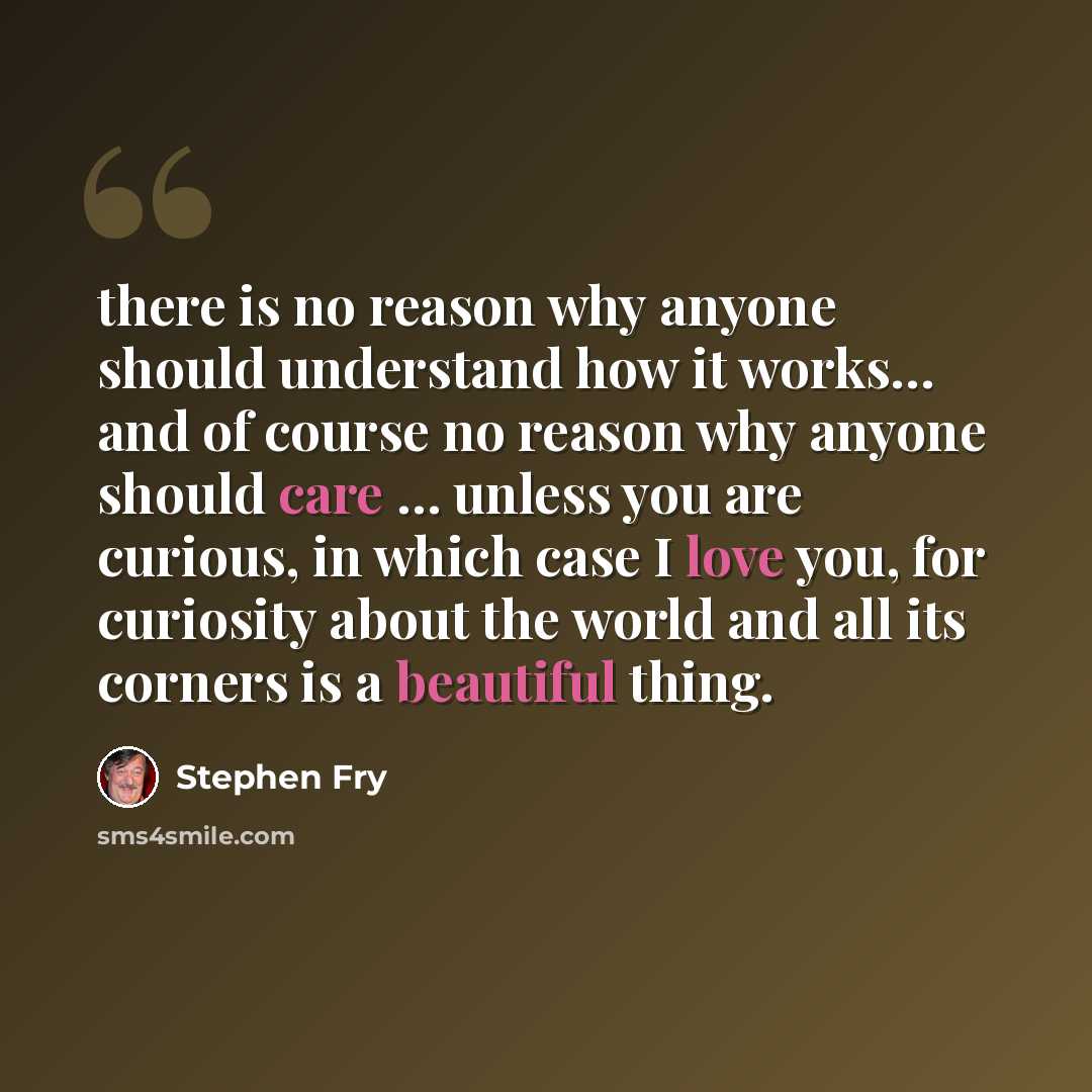 “there is no reason why anyone should understand how it works… and of course no reason why anyone should care … unless you are curious, in which case I love you, for curiosity about the world and all its corners is a beautiful thing.” quote by Stephen Fry