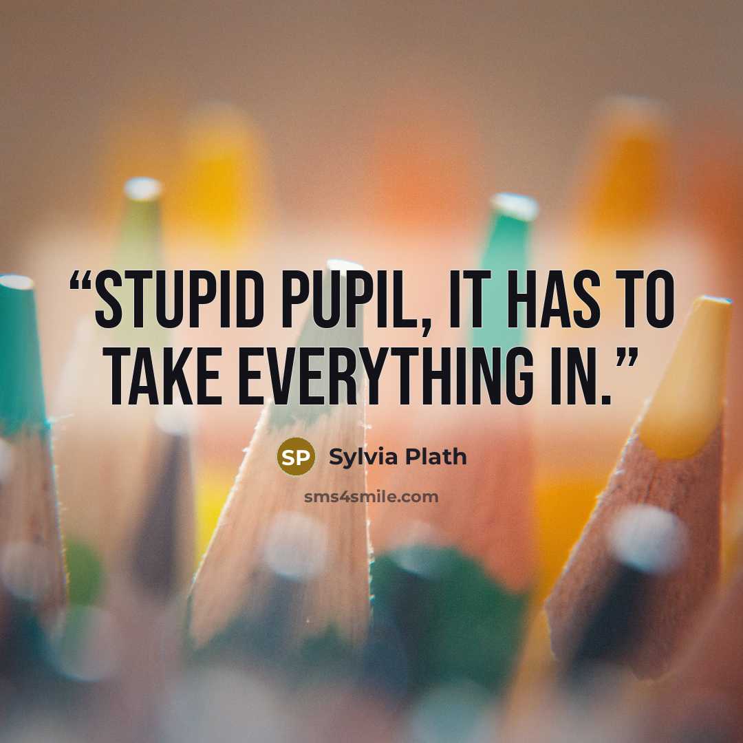 “Stupid pupil, it has to take everything in.” quote by Sylvia Plath