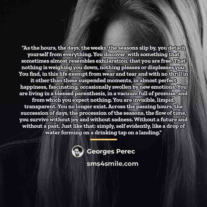 “As the hours, the days, the weeks, the seasons slip by, you detach yourself from everything. You discover, with something that sometimes almost resembles exhilaration, that you are free. That nothing is weighing you down, nothing pleases or displeases you. You find, in this life exempt from wear…” quote by Georges Perec