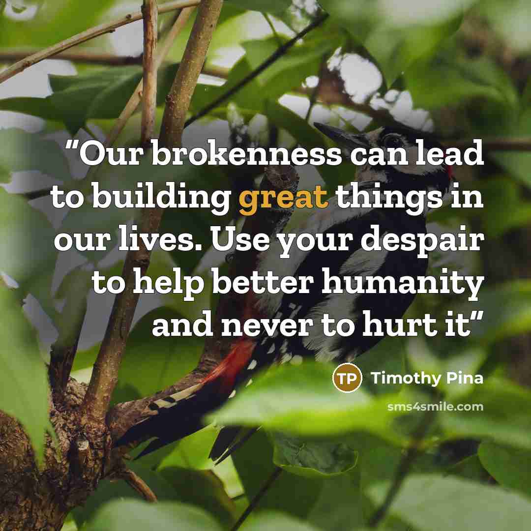 “Our brokenness can lead to building great things in our lives. Use your despair to help better humanity and never to hurt it” quote by Timothy Pina