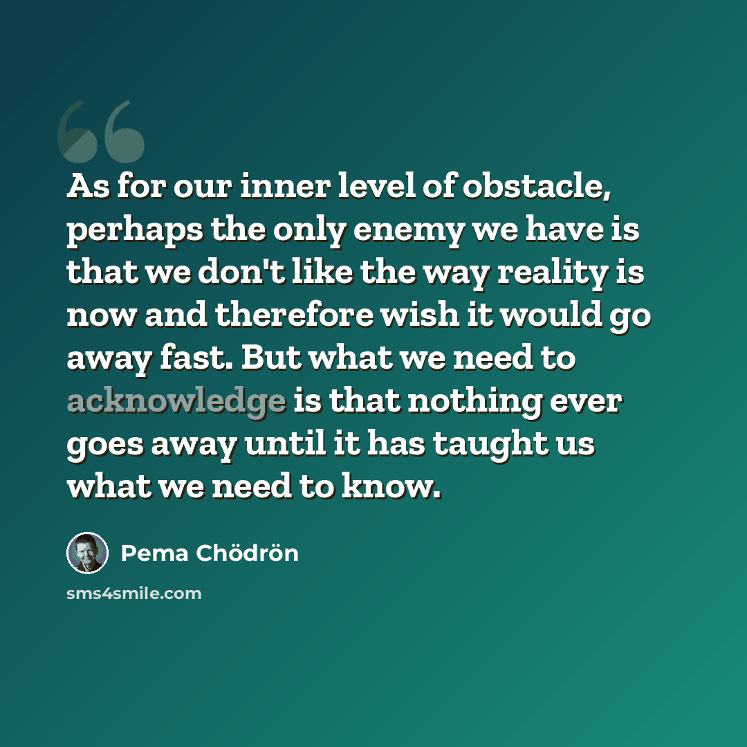 “As for our inner level of obstacle, perhaps the only enemy we have is that we don't like the way reality is now and therefore wish it would go away fast. But what we need to acknowledge is that nothing ever goes away until it has taught us what we need to know.” quote by Pema Chodron