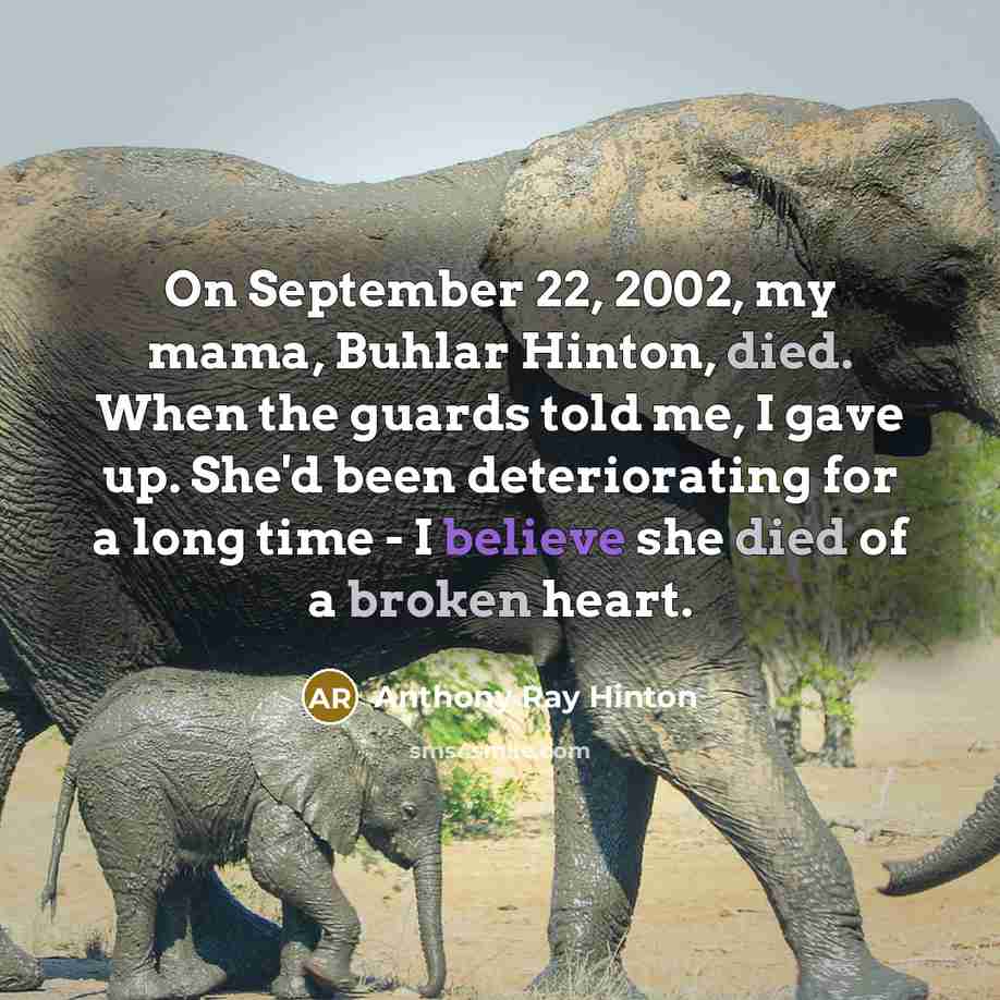 “On September 22, 2002, my mama, Buhlar Hinton, died. When the guards told me, I gave up. She'd been deteriorating for a long time - I believe she died of a broken heart.” quote by Anthony Ray Hinton