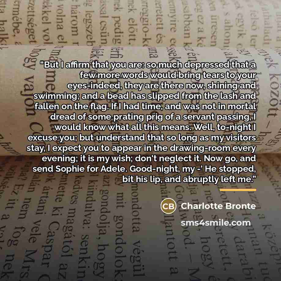 “But I affirm that you are: so much depressed that a few more words would bring tears to your eyes-indeed, they are there now, shining and swimming; and a bead has slipped from the lash and fallen on the flag. If I had time, and was not in mortal dread of some prating prig of a servant passing, I…” quote by Charlotte Brontë