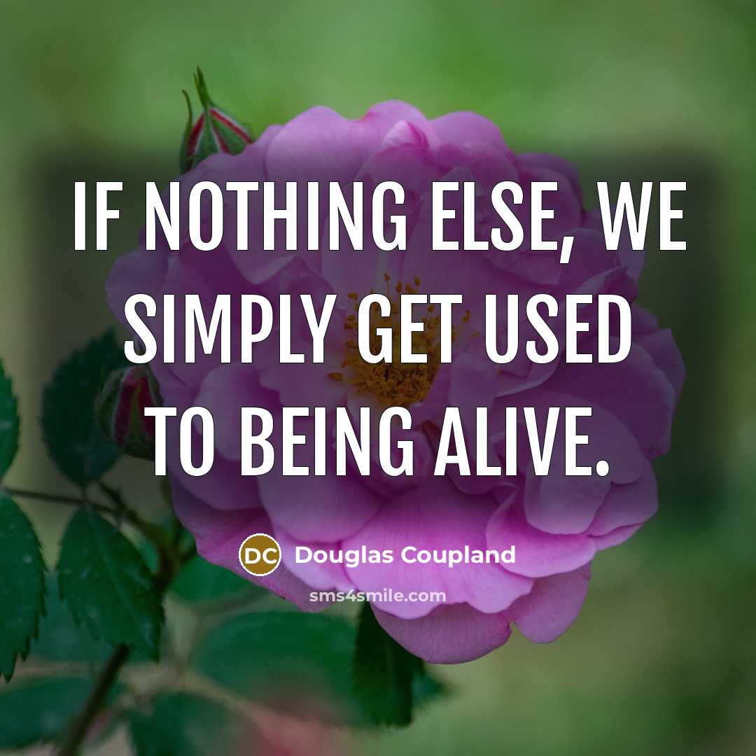 “If nothing else, we simply get used to being alive.” quote by Douglas Coupland
