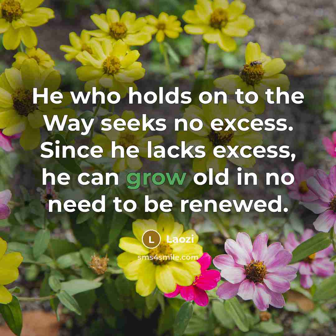 “He who holds on to the Way seeks no excess. Since he lacks excess, he can grow old in no need to be renewed.” quote by Laozi