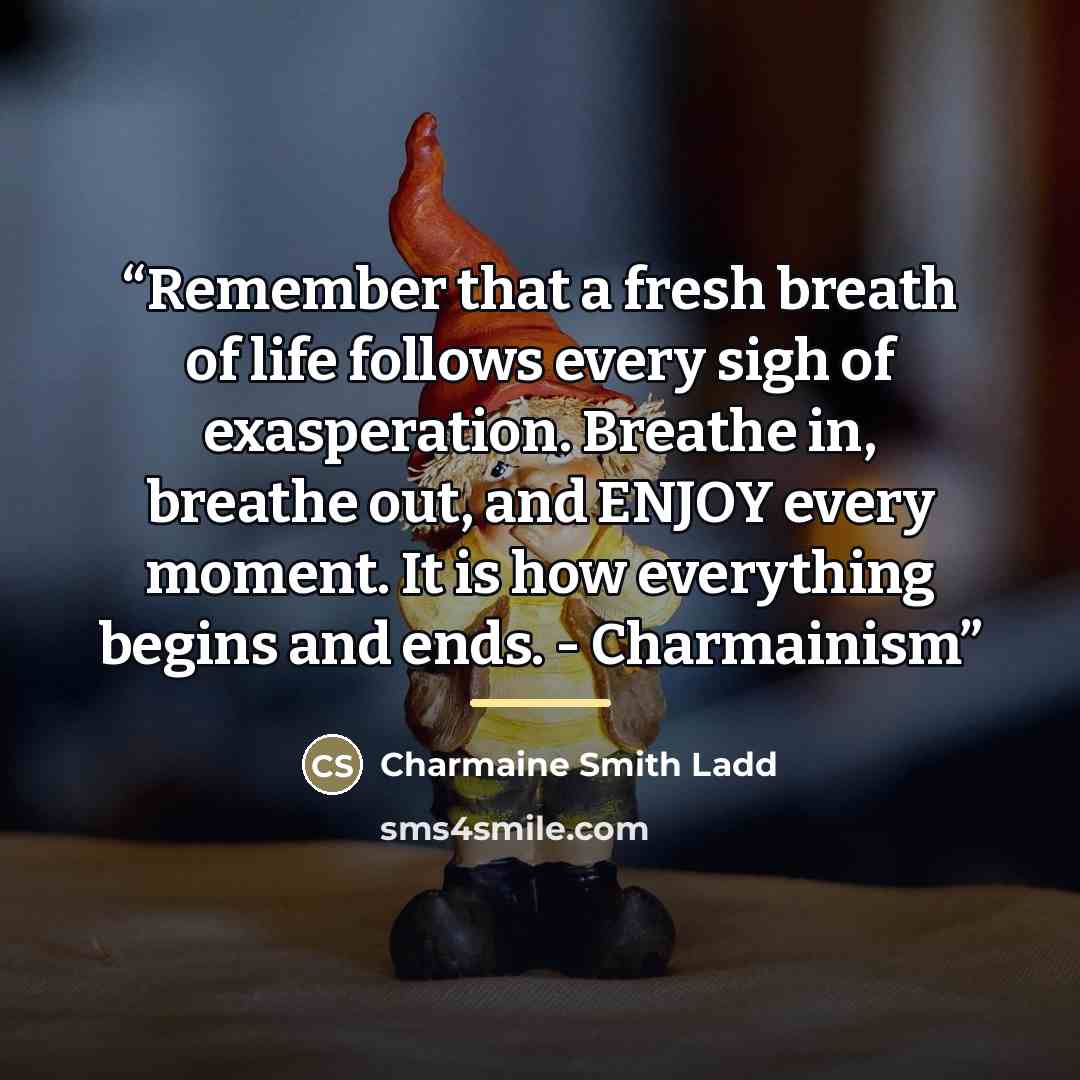 “Remember that a fresh breath of life follows every sigh of exasperation. Breathe in, breathe out, and ENJOY every moment. It is how everything begins and ends. - Charmainism” quote by Charmaine Smith Ladd