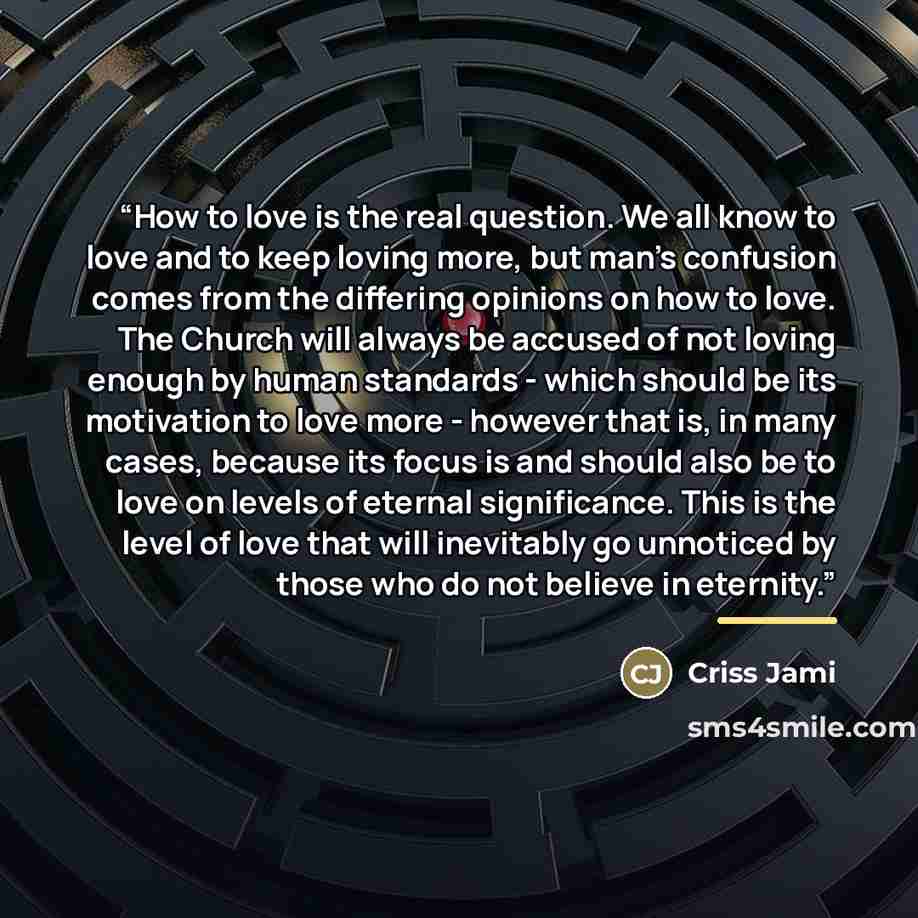 “How to love is the real question. We all know to love and to keep loving more, but man's confusion comes from the differing opinions on how to love. The Church will always be accused of not loving enough by human standards - which should be its motivation to love more - however that is, in many…” quote by Criss Jami