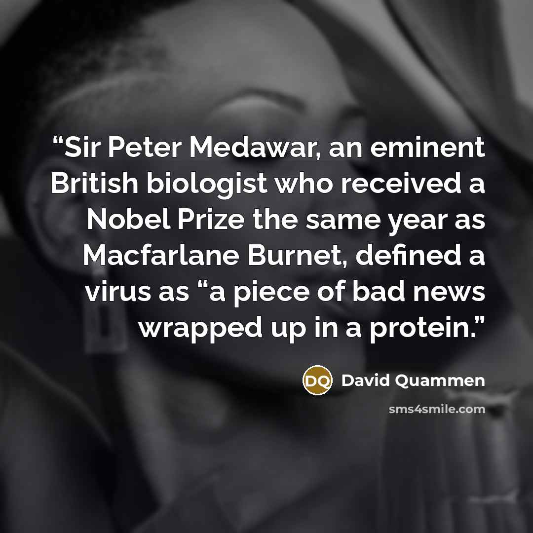 “Sir Peter Medawar, an eminent British biologist who received a Nobel Prize the same year as Macfarlane Burnet, defined a virus as “a piece of bad news wrapped up in a protein.” quote by David Quammen