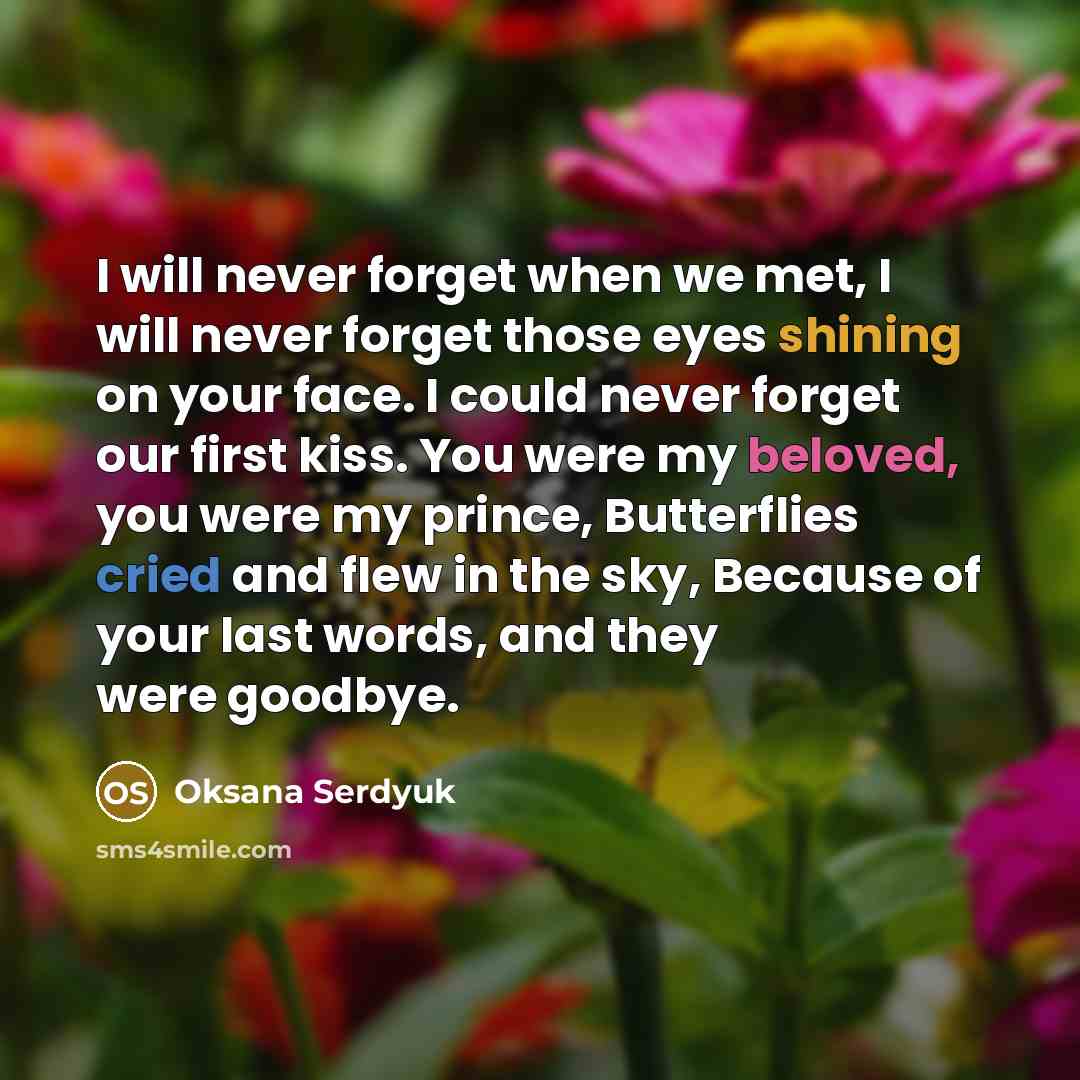 “I will never forget when we met, I will never forget those eyes shining on your face. I could never forget our first kiss. You were my beloved, you were my prince, Butterflies cried and flew in the sky, Because of your last words, and they were goodbye.” quote by Oksana Serdyuk