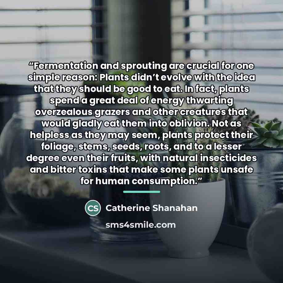 “Fermentation and sprouting are crucial for one simple reason: Plants didn’t evolve with the idea that they should be good to eat. In fact, plants spend a great deal of energy thwarting overzealous grazers and other creatures that would gladly eat them into oblivion. Not as helpless as they may…” quote by Catherine Shanahan