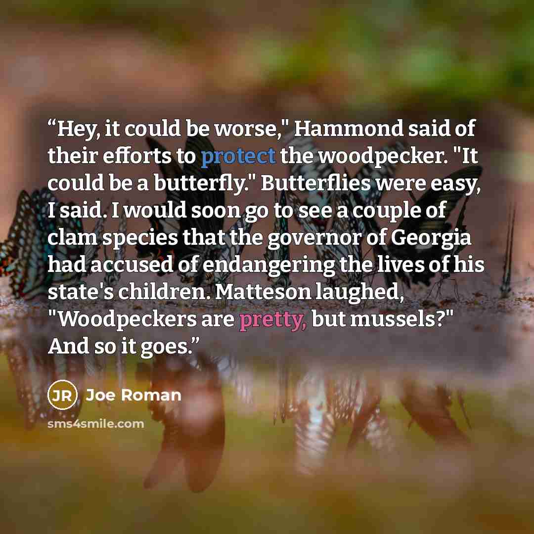 “Hey, it could be worse," Hammond said of their efforts to protect the woodpecker. "It could be a butterfly." Butterflies were easy, I said. I would soon go to see a couple of clam species that the governor of Georgia had accused of endangering the lives of his state's children. Matteson laughed…” quote by Joe Roman