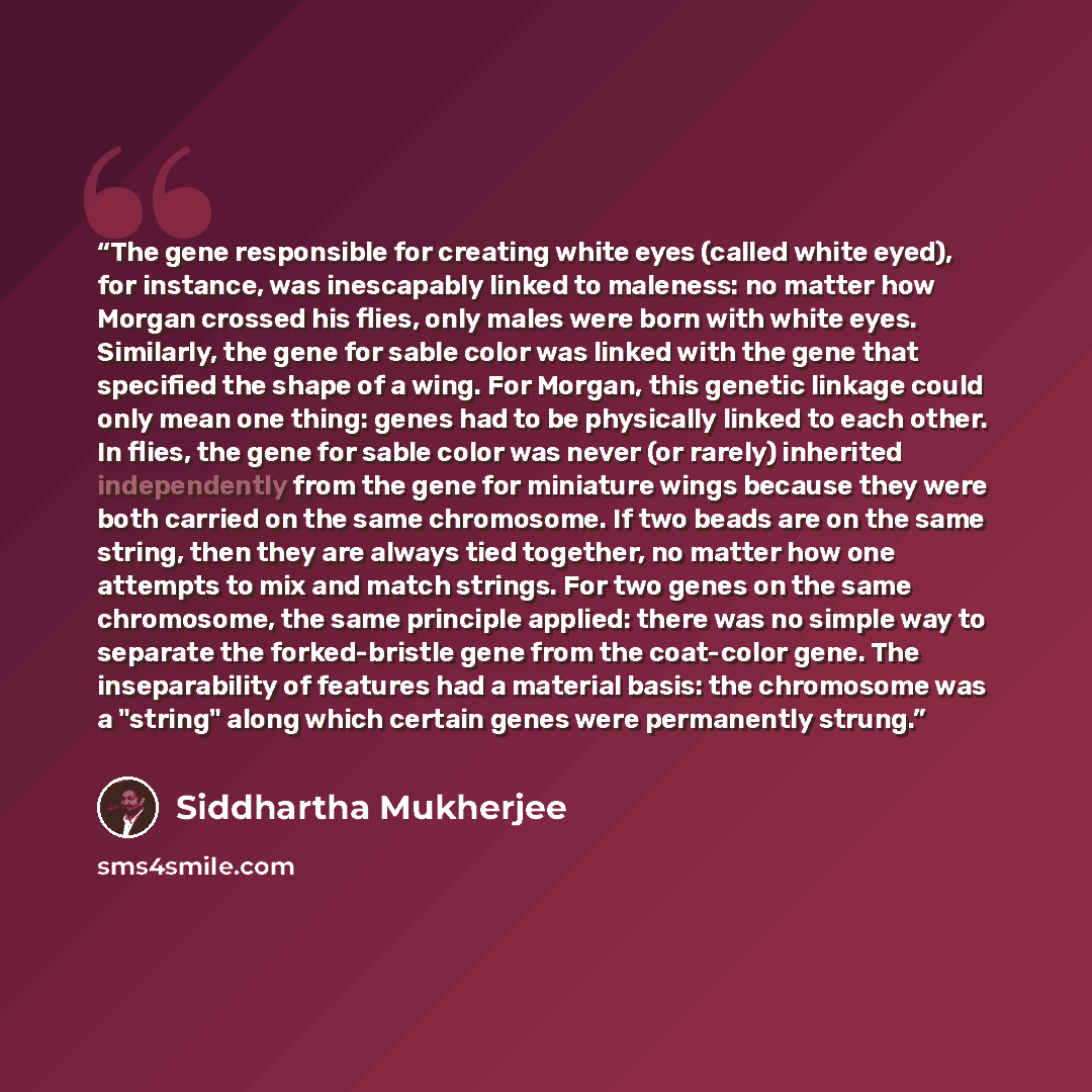 “The gene responsible for creating white eyes (called white eyed), for instance, was inescapably linked to maleness: no matter how Morgan crossed his flies, only males were born with white eyes. Similarly, the gene for sable color was linked with the gene that specified the shape of a wing. For…” quote by Siddhartha Mukherjee