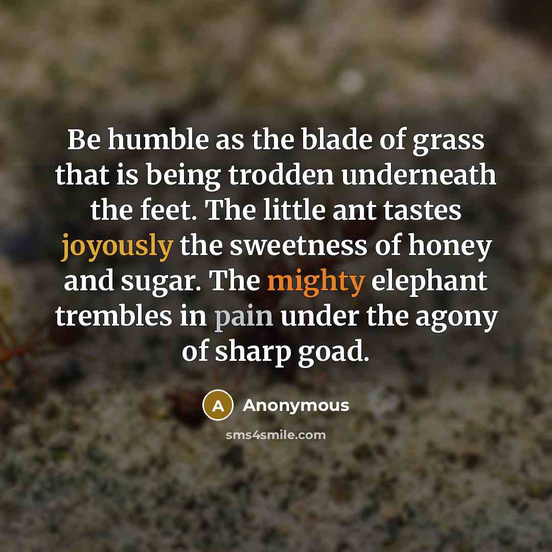 “Be humble as the blade of grass that is being trodden underneath the feet. The little ant tastes joyously the sweetness of honey and sugar. The mighty elephant trembles in pain under the agony of sharp goad.” quote by Anonymous