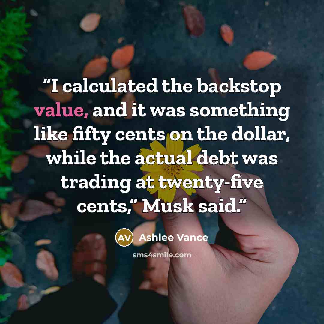 “I calculated the backstop value, and it was something like fifty cents on the dollar, while the actual debt was trading at twenty-five cents,” Musk said.” quote by Ashlee Vance