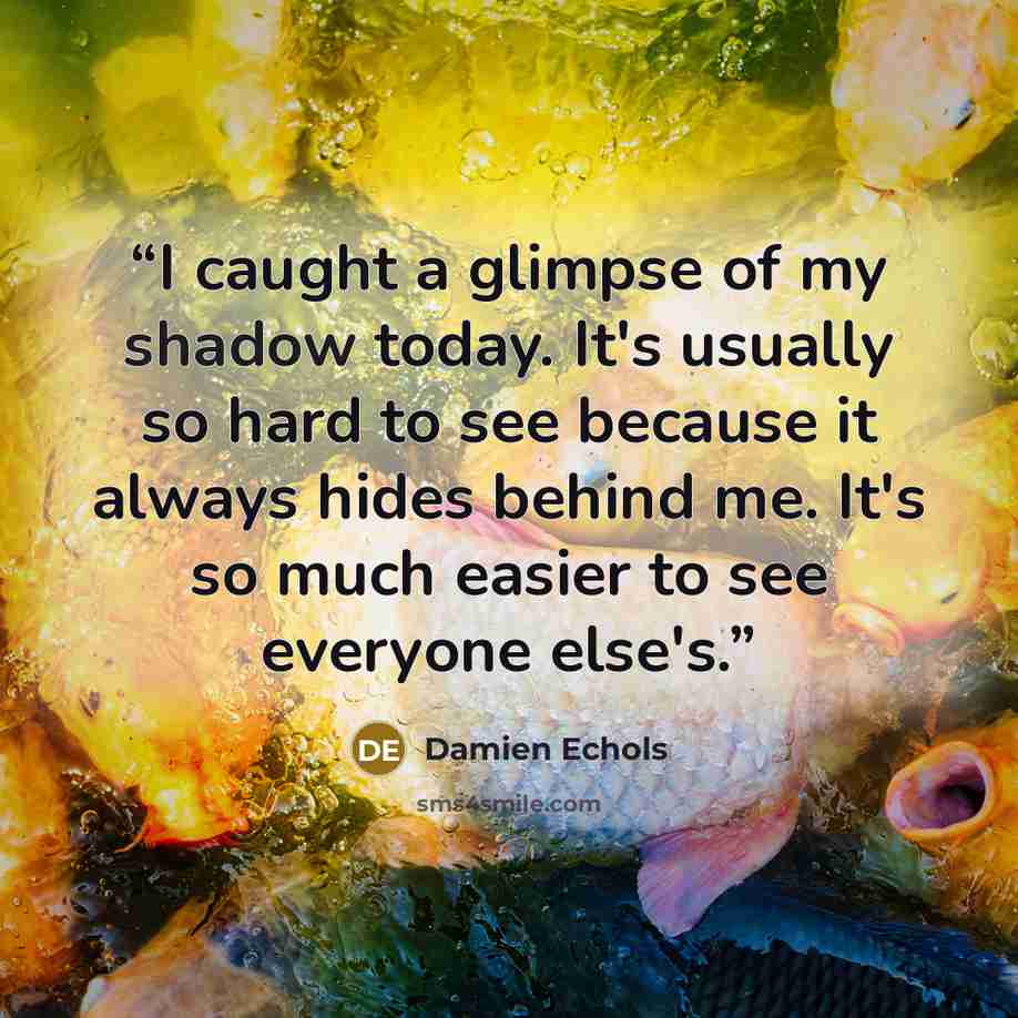 “I caught a glimpse of my shadow today. It's usually so hard to see because it always hides behind me. It's so much easier to see everyone else's.” quote by Damien Echols