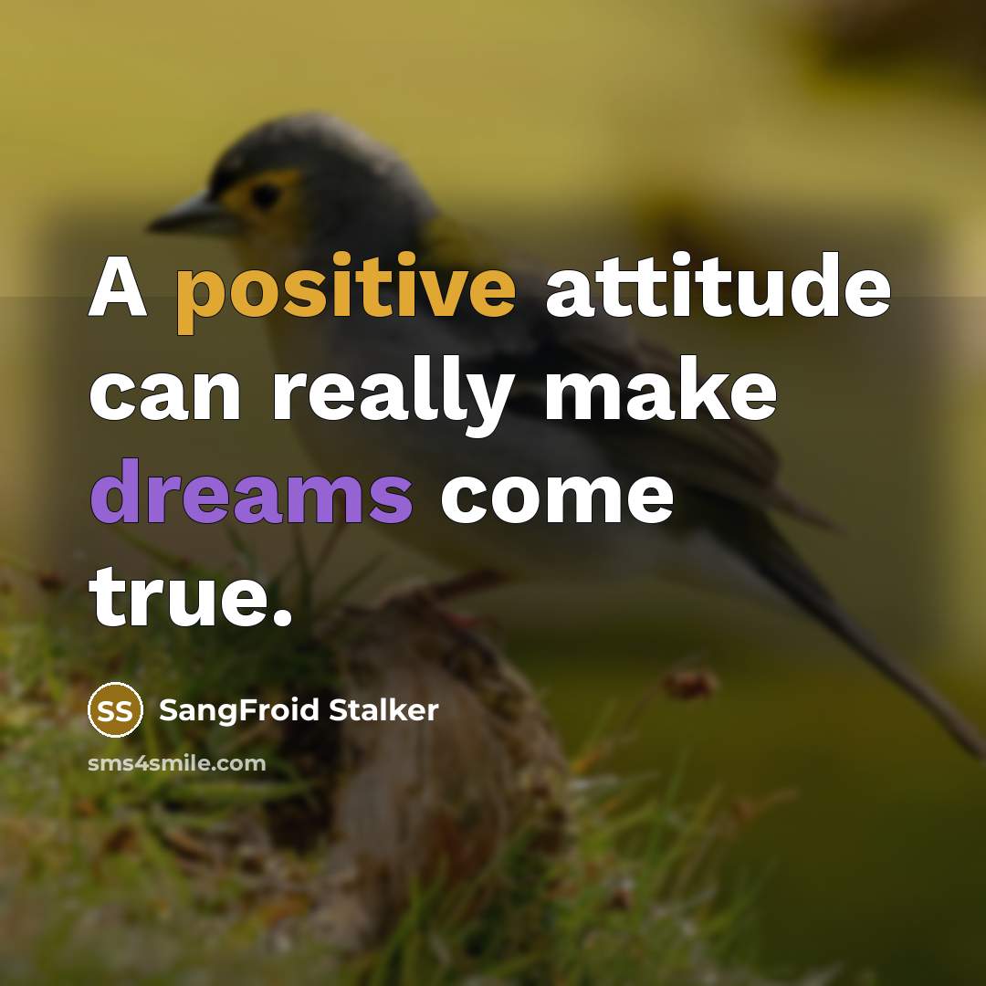 “A positive attitude can really make dreams come true.” quote by SangFroid Stalker
