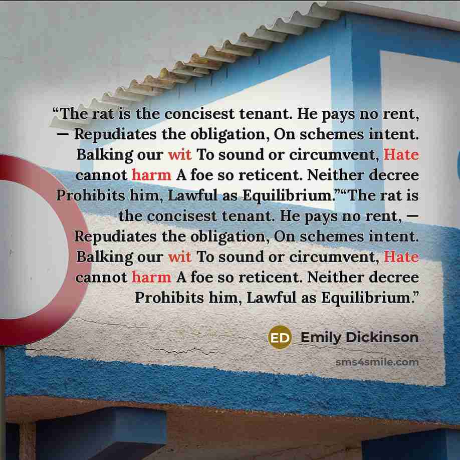 “The rat is the concisest tenant. He pays no rent, — Repudiates the obligation, On schemes intent. Balking our wit To sound or circumvent, Hate cannot harm A foe so reticent. Neither decree Prohibits him, Lawful as Equilibrium.”“The rat is the concisest tenant. He pays no rent, — Repudiates the…” quote by Emily Dickinson