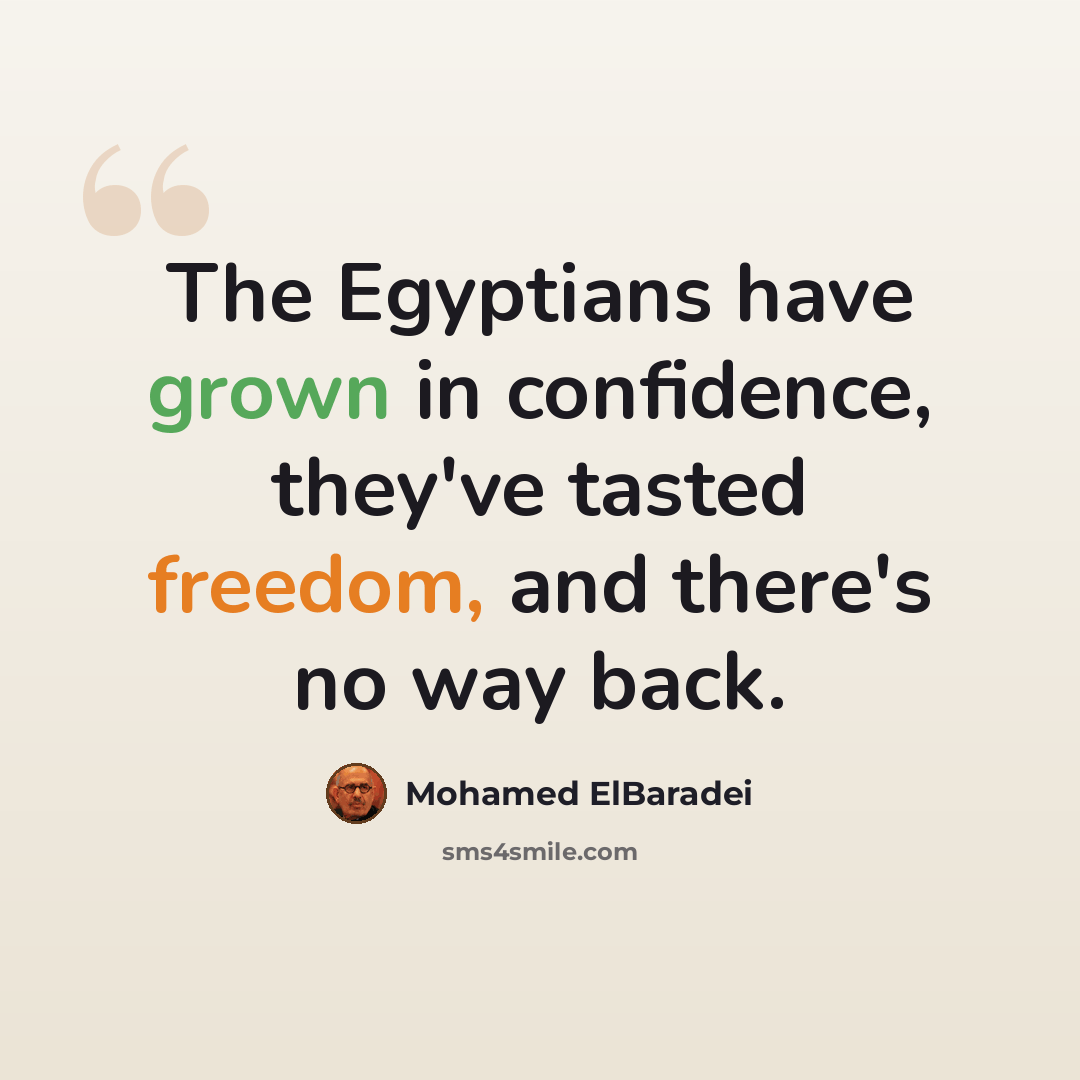 “The Egyptians have grown in confidence, they've tasted freedom, and there's no way back.” quote by Mohamed ElBaradei