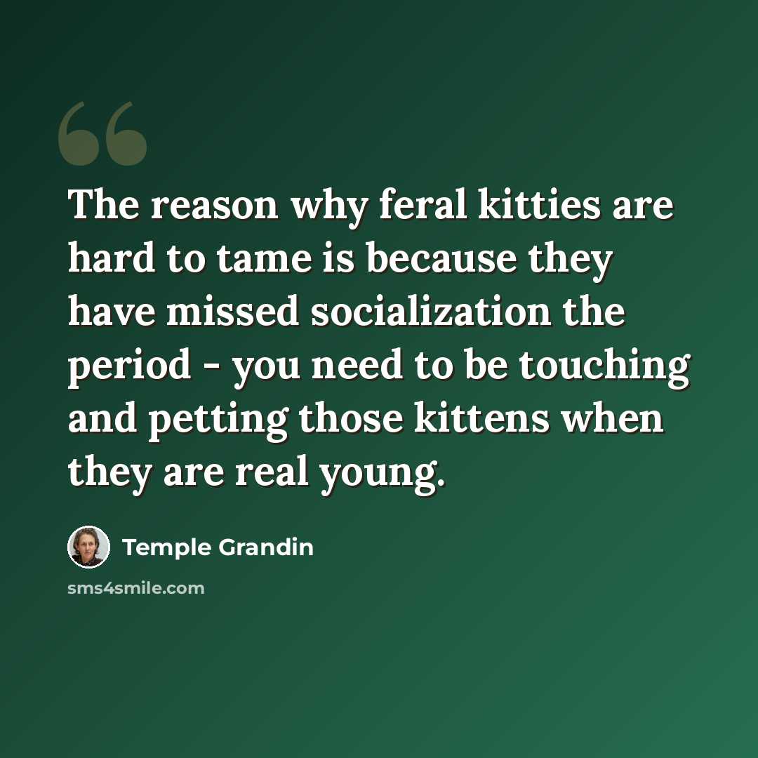 “The reason why feral kitties are hard to tame is because they have missed socialization the period - you need to be touching and petting those kittens when they are real young.” quote by Temple Grandin