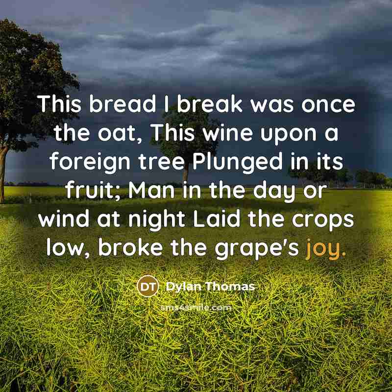 “This bread I break was once the oat, This wine upon a foreign tree Plunged in its fruit; Man in the day or wind at night Laid the crops low, broke the grape's joy.” quote by Dylan Thomas
