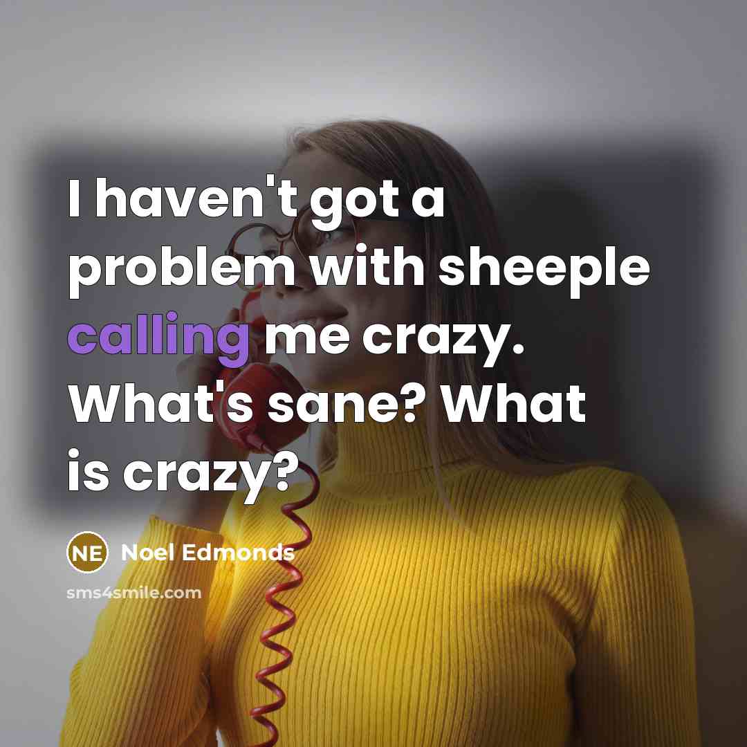 “I haven't got a problem with sheeple calling me crazy. What's sane? What is crazy?” quote by Noel Edmonds