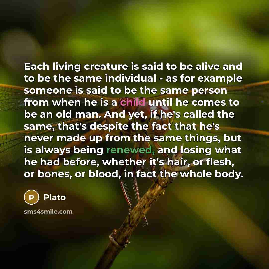 “Each living creature is said to be alive and to be the same individual - as for example someone is said to be the same person from when he is a child until he comes to be an old man. And yet, if he's called the same, that's despite the fact that he's never made up from the same things, but is…” quote by Plato