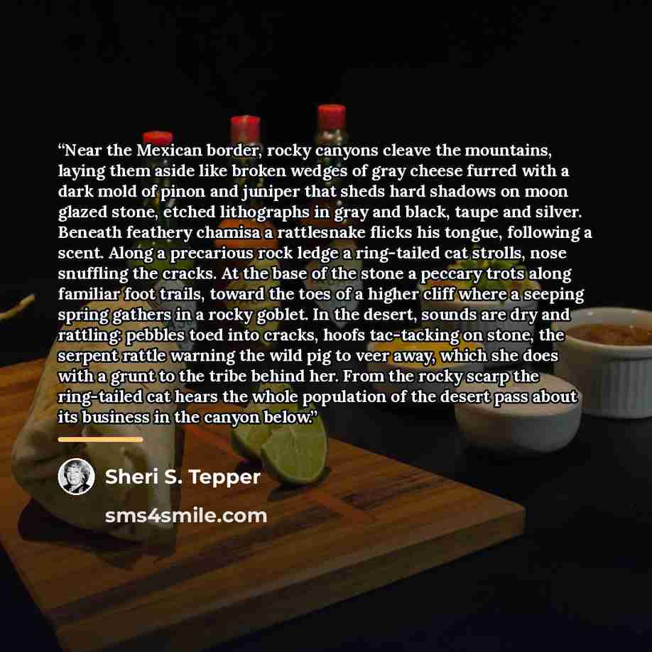 “Near the Mexican border, rocky canyons cleave the mountains, laying them aside like broken wedges of gray cheese furred with a dark mold of pinon and juniper that sheds hard shadows on moon glazed stone, etched lithographs in gray and black, taupe and silver. Beneath feathery chamisa a rattlesnake…” quote by Sheri S. Tepper